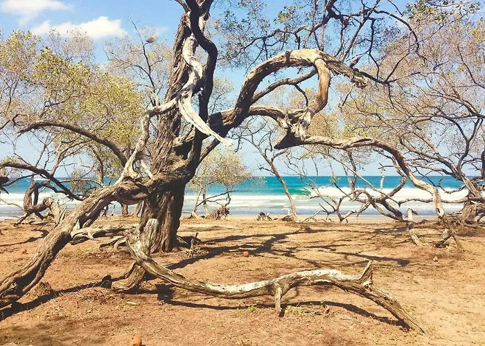 Vida Verde Playa Avellana