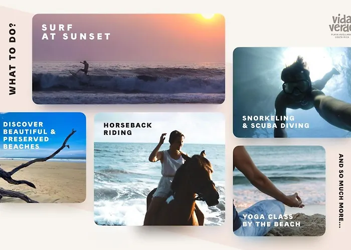 Vida Verde